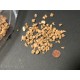 500g    3-5mm washed chipped cork granulate for killing jars